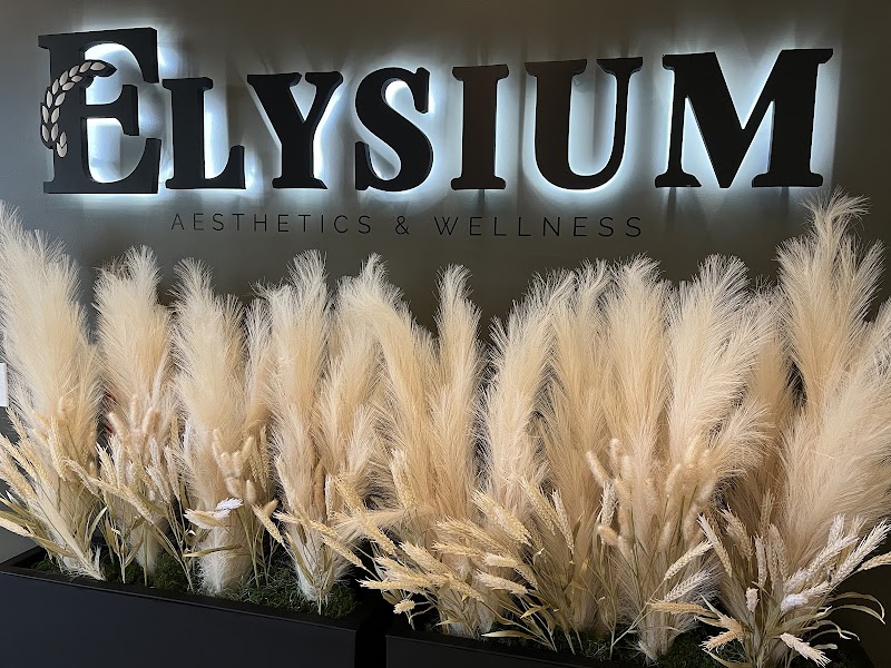 Elysium Aesthetics & Wellness med spa in Easton, PA