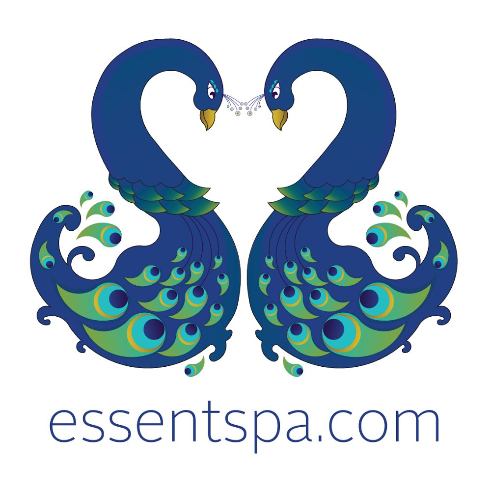 Essent Spa med spa in Bryn Mawr, PA